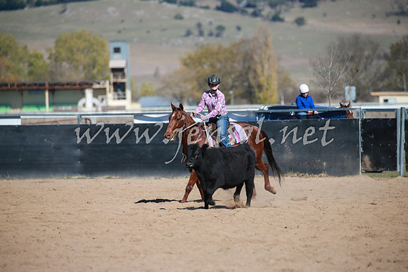 BungendoreCampdraft2016_1011