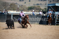 BungendoreCampdraft2016_1014