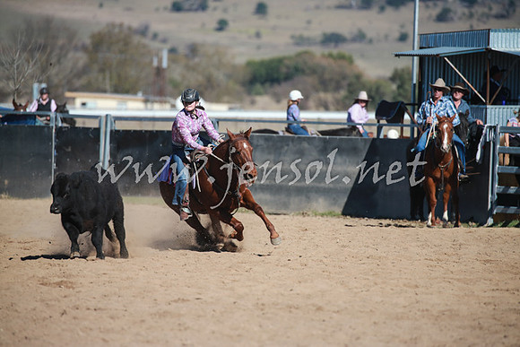 BungendoreCampdraft2016_1014