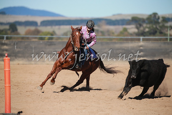 BungendoreCampdraft2016_1020