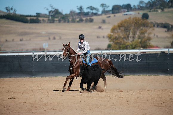 BungendoreCampdraft2016_1003