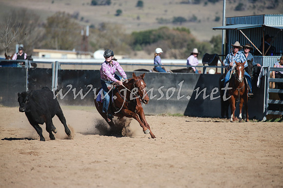 BungendoreCampdraft2016_1015