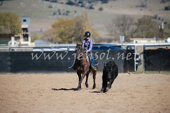BungendoreCampdraft2016_1073