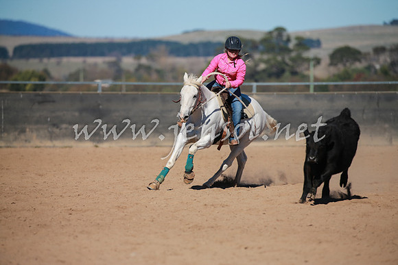 BungendoreCampdraft2016_1027