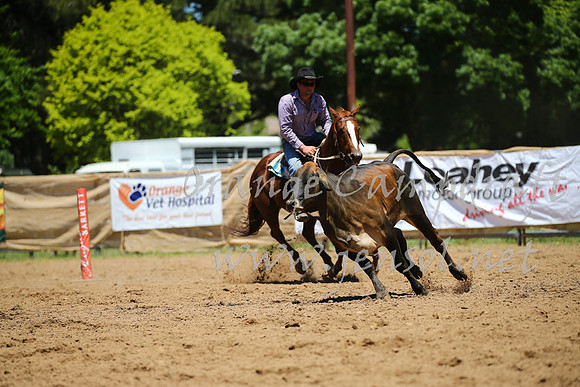 OrangeCampdraft_0024