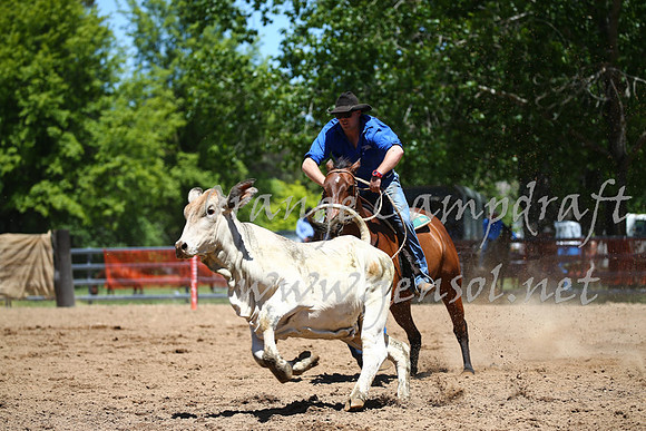 OrangeCampdraft_0036