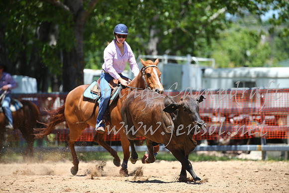 OrangeCampdraft_0012