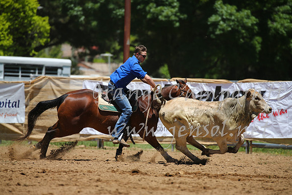 OrangeCampdraft_0040