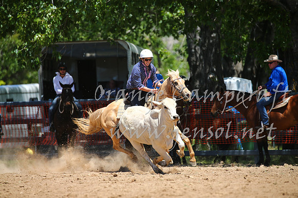 OrangeCampdraft_0048