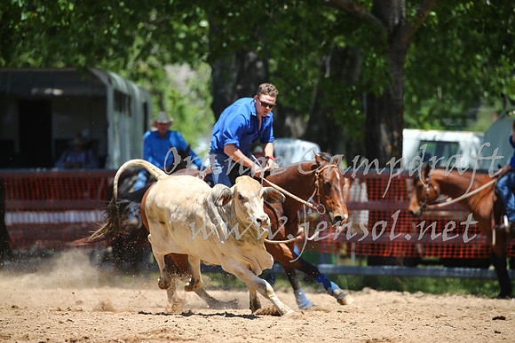 OrangeCampdraft_0047