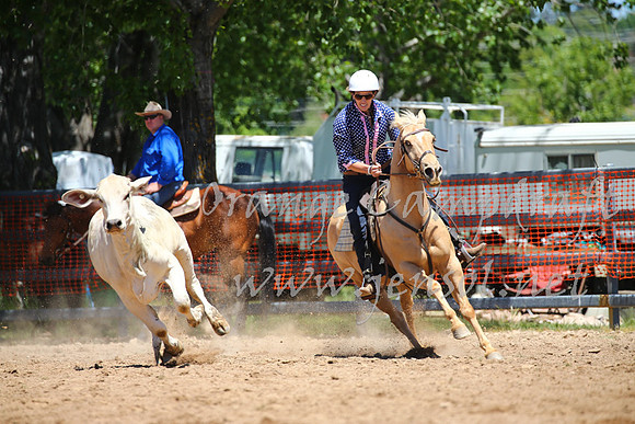 OrangeCampdraft_0052