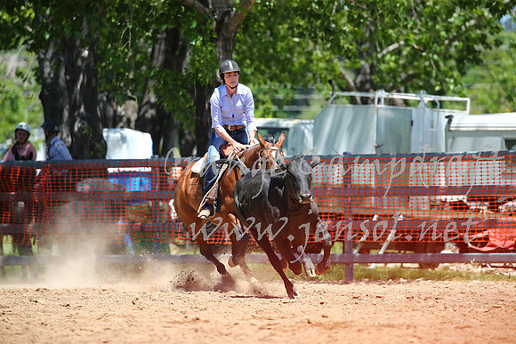OrangeCampdraft_0085