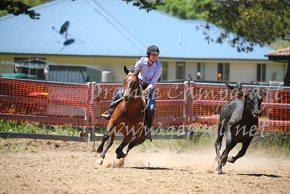 OrangeCampdraft_0073