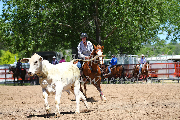 OrangeCampdraft_0022
