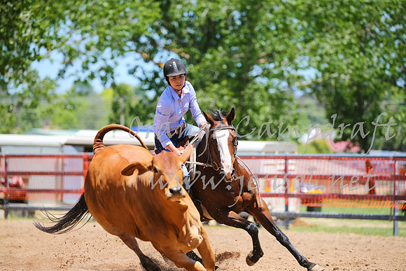 OrangeCampdraft_0058