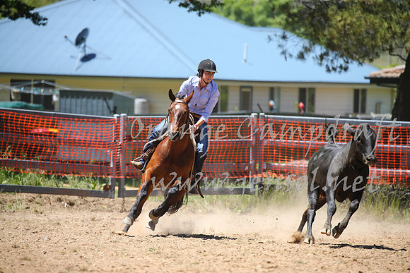 OrangeCampdraft_0071