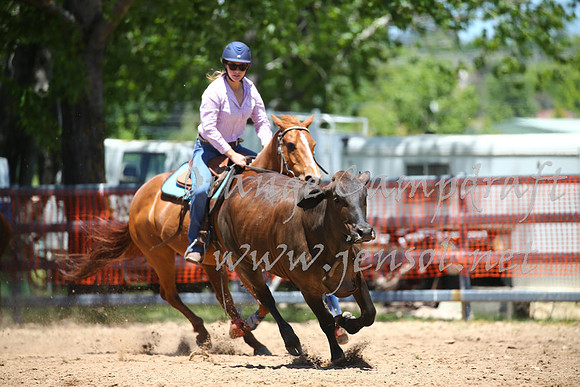 OrangeCampdraft_0013