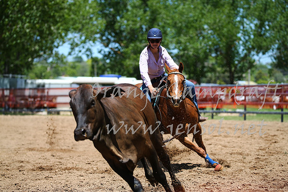 OrangeCampdraft_0005
