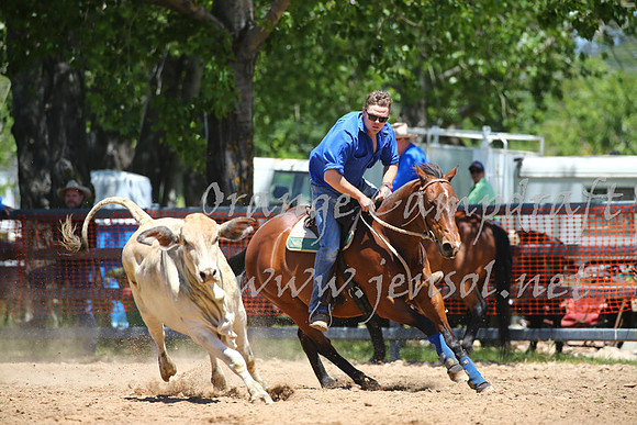 OrangeCampdraft_0043