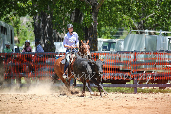 OrangeCampdraft_0078