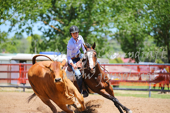 OrangeCampdraft_0057