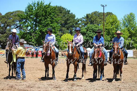 OrangeCampdraft_0116