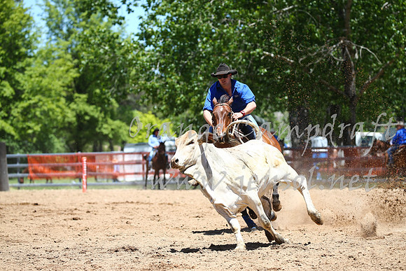 OrangeCampdraft_0037