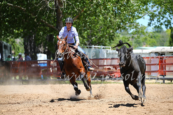 OrangeCampdraft_0064