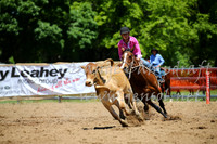 OrangeCampdraft_0030