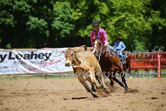 OrangeCampdraft_0030