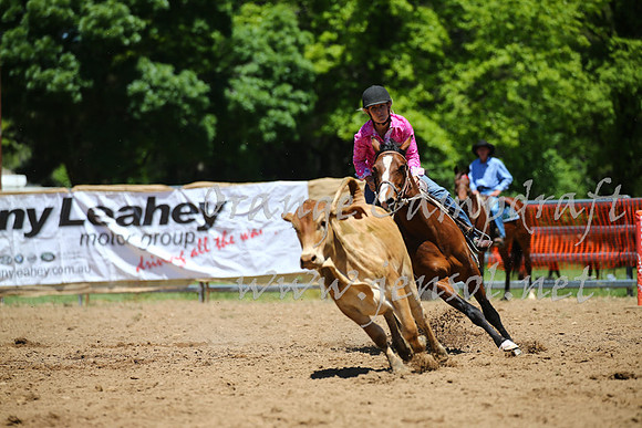 OrangeCampdraft_0033