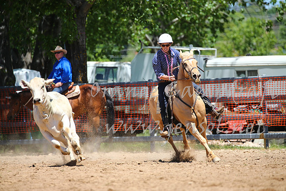 OrangeCampdraft_0051