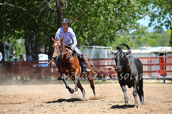 OrangeCampdraft_0069