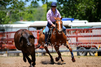 OrangeCampdraft_0020
