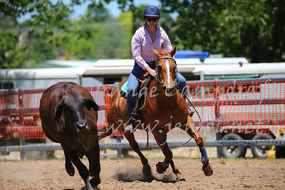 OrangeCampdraft_0020