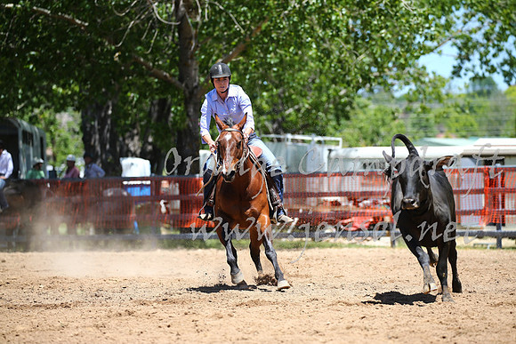 OrangeCampdraft_0068