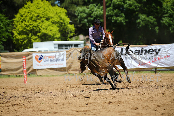 OrangeCampdraft_0023