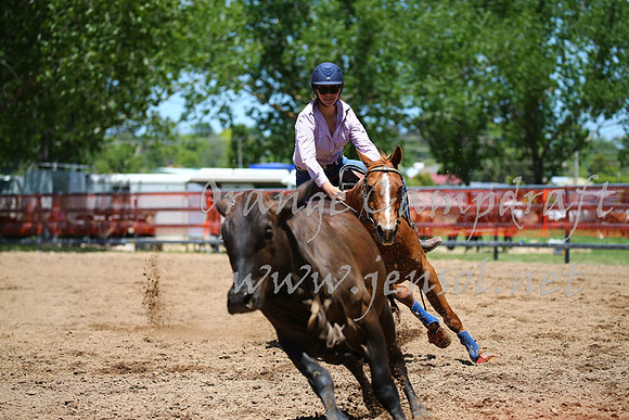 OrangeCampdraft_0002