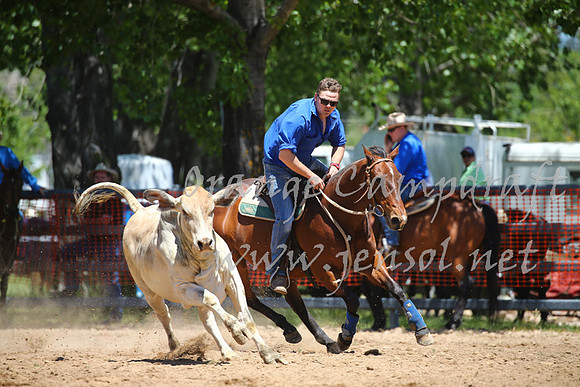 OrangeCampdraft_0042