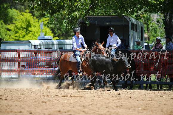 OrangeCampdraft_0079