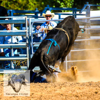 TaralgaJunior_2202