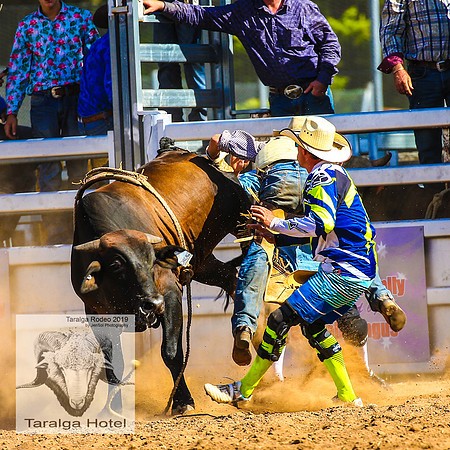 TaralgaJunior_2458