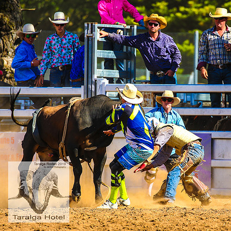 TaralgaJunior_2462