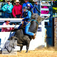 TaralgaJunior_2188