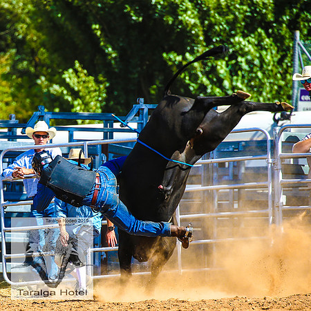 TaralgaJunior_2214