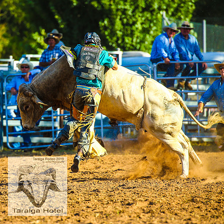 TaralgaJunior_3483