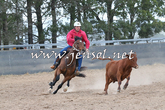 BraidwoodCampdraft2014_2451