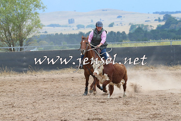BraidwoodCampdraft2014_2516