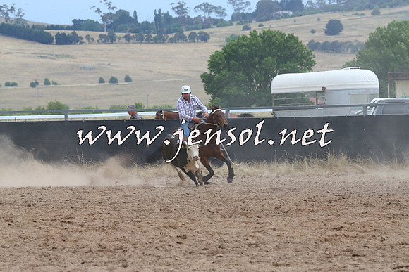 BraidwoodCampdraft2014_2509