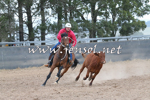 BraidwoodCampdraft2014_2452